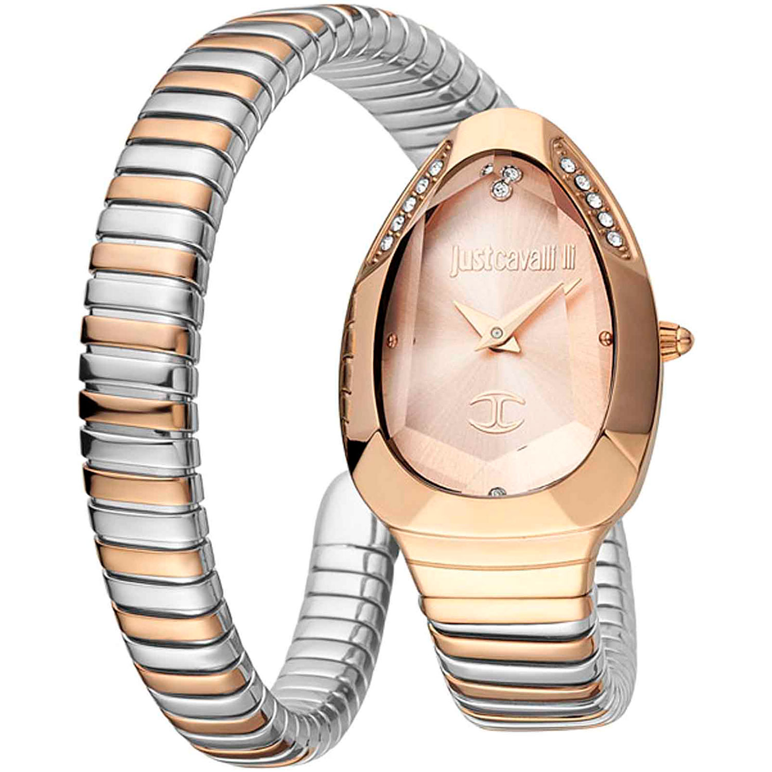 Часы Just Cavalli Snake JC1L208M0075